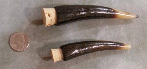 Oil Horns
